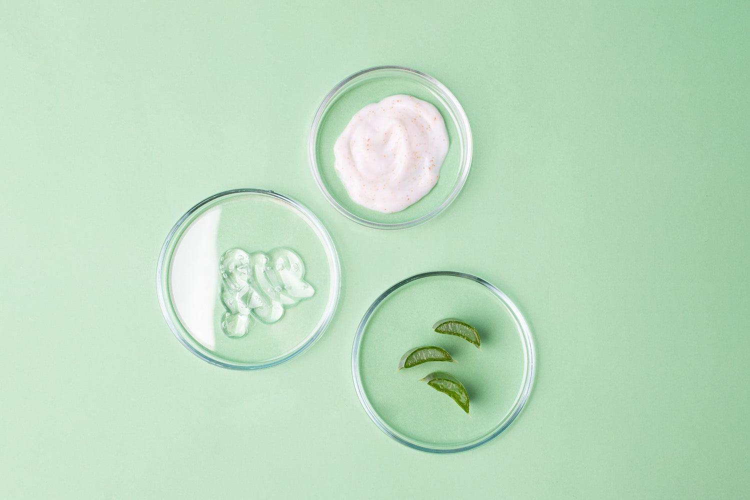 Probiotics & Prebiotics